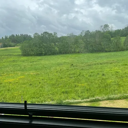 Beautiful In Проживание в семье